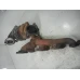 TURBINA Opel Zafira 2004 2.0 DT 16V