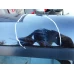 VRATA ZADNJA DESNA Mazda Mazda5 2007 2.0
