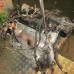 MOTOR CIJELI Citroën C3 2014 1.4 HDI 8HR