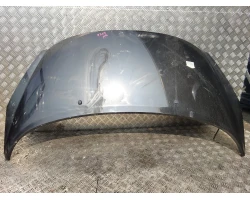POKROV MOTORA Peugeot 207 2007 1.6 16V