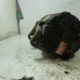 ALTERNATOR Chevrolet Aveo 2008 1.2 2655866