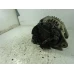 ALTERNATOR Opel Corsa 2008 1.4 16V 0124325171