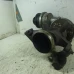 TURBINA Mercedes-Benz B-Klasse 2006 B 180 CDI A6400901780