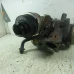 TURBINA Mercedes-Benz B-Klasse 2006 B 180 CDI A6400901780