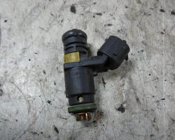 INJEKTOR Seat Ibiza 2009 1.4 8194N06224