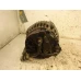 ALTERNATOR Škoda Fabia 2002 1.9D COMBI
