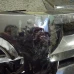 UKRASNA MASKA Nissan Murano 2005 3.5 AUT. 62310CA000 62310CA00A