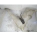 POSUDA ZA PRANJE STAKLA Renault MASTER II 2007 2.5 DCI