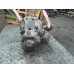 MIJENJAČ Renault MEGANE III  2008 1.5DCI JR5 175