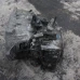 MIJENJAČ Citroën C4 2011 PICASSO 1.6 HDI AUT. 2231K7 253188