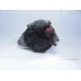 ALTERNATOR Nissan Micra 2003  23100 5f600