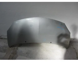 POKROV MOTORA Renault TWINGO 2007 1.2 16V
