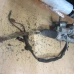 LETVA VOLANA Peugeot 207 2008 1.6 16V 6700001531b   6820000090