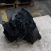 MIJENJAČ Ford Focus 2007 1.8TDCI