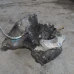 MIJENJAČ Opel Corsa 2008 1.4 16V ML5 55561900