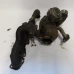 TURBINA Alfa GT 2004 1.9 JTD 55191934