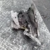 MIJENJAČ Opel Astra 2006 GTC 1.6 16V 55558142