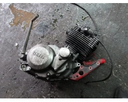 MOTOR CIJELI Neznano Neznano  Yamaha