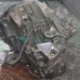 MIJENJAČ Nissan Juke 2010 1.5 DCI 320101KG0C