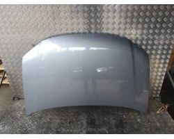 POKROV MOTORA Volkswagen Touran 2007 1.9 TDI