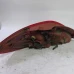 ŠTOP SVIJETLO DESNA Mazda Mazda2 2010 1.4