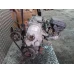 MOTOR CIJELI Honda CIVIC 1998 1.4 I D14A