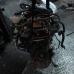 MOTOR CIJELI Ford Focus 2020 1.5 ECOBLUE 70 B6 Z2DA KX6Q-6006-JA
