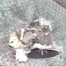 MIJENJAČ Peugeot 2008 2015 1.6 16V 1608511780