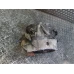 MIJENJAČ Volkswagen Passat 2017 1.4 TSI AUT. VARIANT SMR 0CW300041C