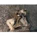 MIJENJAČ Peugeot RIFTER 2020 1.5 HDI 9808323680 STT