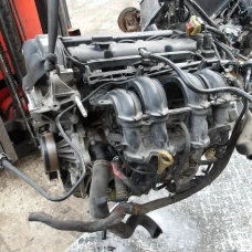 MOTOR CIJELI Ford Fiesta 2010 1.25 STJB 1705064