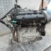 MOTOR CIJELI Ford Fiesta 2010 1.25 STJB 1705064