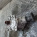 DIFERENCIAL PREDNJI Hyundai Santafe 2009 2.2 CRDI 4WD 4730039300 47300-39300