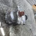 DIFERENCIAL PREDNJI Hyundai Santafe 2009 2.2 CRDI 4WD 4730039300 47300-39300
