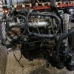 MOTOR CIJELI Nissan X-Trail 2006 2.2 TD YD22 10102EQ4A0