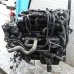 MOTOR CIJELI Citroën BERLINGO 3 2009 1.6 HDI 9HZ 0135QE