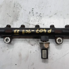 COMMON RAIL Peugeot 407 2008 2.0 HDI 9656391180