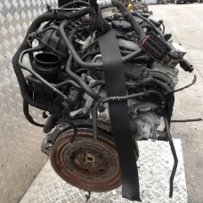 MOTOR CIJELI Volkswagen Golf 2021 1.5 TSI AUT. VARIANT