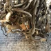 MOTOR CIJELI Citroën C4 2016 CACTUS 1.6 HDI