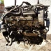 MOTOR CIJELI Volkswagen Golf 2010 VI. 1.6 TDI