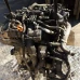 MOTOR CIJELI Volkswagen Golf 2010 VI. 1.6 TDI